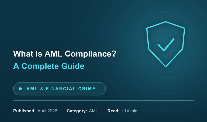 What Is AML Compliance? A Complete Guide for Financial Institutions | One Constellation